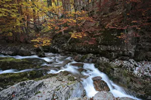 Waterfalls Prints: Small waterfall on the Arazas River in the Ordesa y Monte Perdido National Park, Huesca