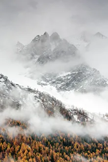 Summit Prints: Snow covered mountain sides in Valsavarenche Valley with European larch (Larix decidua) trees in autumn