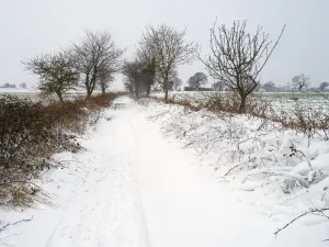 April 2022 Highlights Prints: Snow covering a farm track, Gimingham