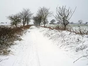 April 2022 highlights Collection: Snow covering a farm track, Gimingham, Norfolk, UK. February, 2021. Seasons sequence - Winter