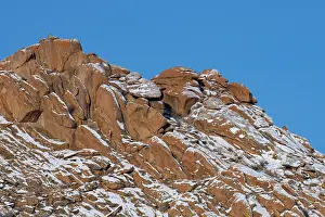 Rock Prints: Snow leopard (Panthera uncia) sitting on top of the red granite hills of the Margaz Mountains