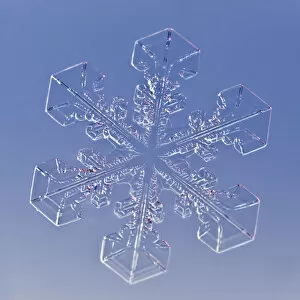 Images Dated 6th February 2009: Snowflake magnified under microscope, Lilehammer, Norway