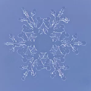 Images Dated 7th February 2009: Snowflake magnified under microscope, Lilehammer, Norway