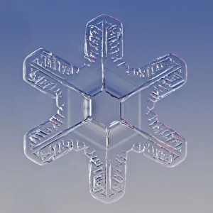 Snowflake magnified under microscope, Lilehammer, Norway