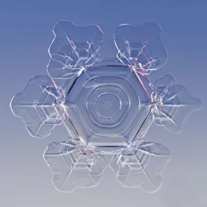 Snowflake magnified under microscope, Lilehammer, Norway