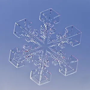 Snowflake magnified under microscope, Lilehammer, Norway
