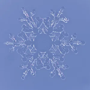 Snowflake magnified under microscope, Lilehammer, Norway
