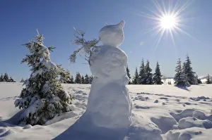 Conifers Prints: Snowman on Hauts Fourneaux, Ballon des Vosges Nature Park, Vosges, Lorraine, France