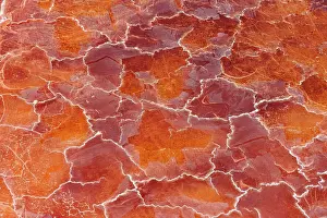 Abstracts Prints: Soda deposits coloured by microorganisms and red algae on the surface of Lake Magadi