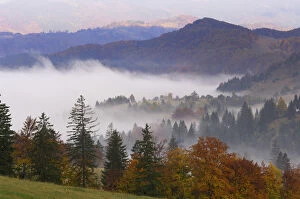 Southern Carpathian Mountains with morning mist, near Zarnesti, Transylvania, Romania