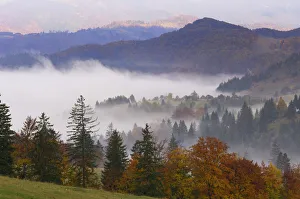 Images Dated 19th June 2009: Southern Carpathian Mountains with morning mist, near Zarnesti, Transylvania, Romania