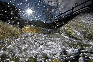 A split-level image of a mountain stream, in autumn, with water droplets on lens