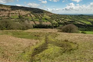Bryophyta Prints: Spring on the Black Mountains with Sphagnum moss looking across the Olchon Valley to Black Hill / the Cat's Back
