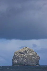 Stac Lee home to a Northern gannet (Morus bassanus) colony, St. Kilda Archipelago