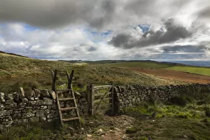 June 2021 Highlights Gallery: Stile on Hadrians Wall path, Northumberland National Park, UK, October 2020
