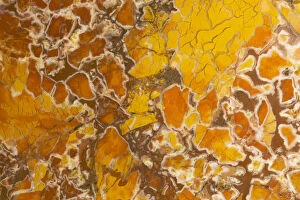 Orange Collection: Stone canyon jasper formed with cryptocrystalline quartz, California, USA