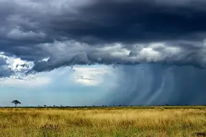 Savanna Prints: Storm over the plains in dry season, Tsavo East National Park, Kenya. March, 2025