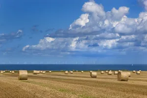 Horizon Prints: Straw bales and field of stubble, Weybourne, Norfolk, UK August 2014