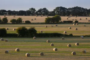 Cotswolds Prints: Straw bales after harvest in late summer Cotswold landscape