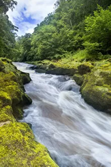 Images Dated 15th August 2015: The Strid, River Wharfe, slow shutter speed showing movement of the water, Bolton Abbey Estate