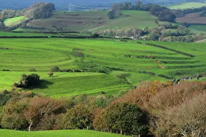 Grazing Prints: Strip lynchets, ancient earth terraces