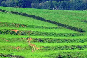 Iron Age Prints: Strip lynchets, ancient earth terraces