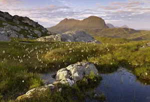 Images Dated 16th June 2011: Suilven in early morning light, Coigach / Assynt SWT, Sutherland, Highlands, Scotland