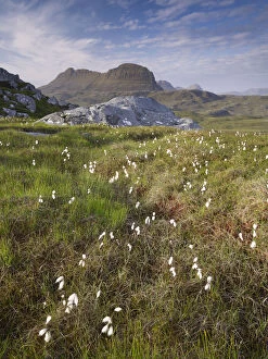 Images Dated 16th June 2011: Suilven, early summer morning, Coigach / Assynt SWT, Sutherland, Highlands, Scotland