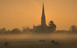 Buildings Prints: Sun rising through mist behind Salisbury Cathedral viewed across Harnham Water Meadows