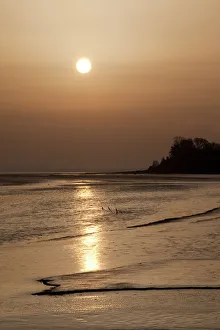 Habitat Prints: Sunrise over coastal mudflats, Campfield Marsh RSPB reserve, Bowness, Solway Firth
