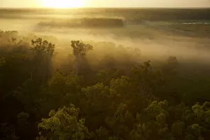 Sunrise illuminates mist over Green Swamp. Piccaninny Plains Sanctuary Cape