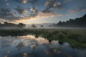 Bernard Castelein Gallery: Sunrise at Klein Schietveld, Brasschaat, Belgium