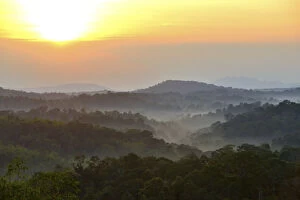 Rainforest Gallery: Sunrise over primary rainforest forest, Thailand, November 2014