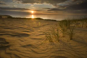 Sunrise over sand dunes on Agilos Kopa, Nagliai Nature Reserve, Curonian Spit, Lithuania