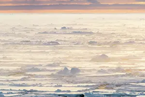Golden Prints: Sunrise over sea ice, Franklin Island, Ross Sea, Antarctica. February, 2023