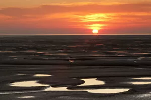 Images Dated 30th September 2011: Sunset reflected from mudflats. The Wash Estuary, Norfolk, October 2011