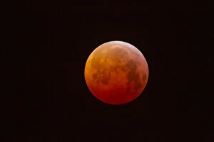 2020 February Highlights Collection: Super Blood Wolf Moon or Blood Moon Eclipse so called because a Lunar eclipse is appearing