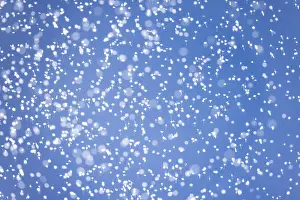 Cryptic Prints: Swarming insects, near Asuncion Atoyaquillo, Oaxaca state, Mexico