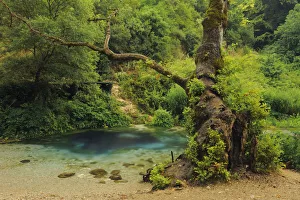 Springs Prints: Syri i Kalter (The Blue Eye) spring, Albania, June 2009