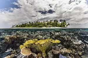 World Oceans Day 2021 Gallery: Table coral reef in shallow waters, Gaafu Alifu Atoll, Maldives, Indian Ocean