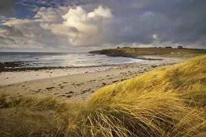 Taracliff Bay at dawn, Mainland, Orkney Isles, Scotland. October 2020