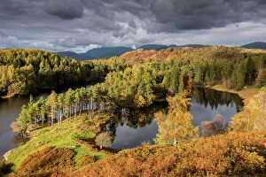 Dramatic coasts Collection: Tarn Hows, late evening light in autumn, near Coniston, The Lake District, Cumbria, UK. October 2016