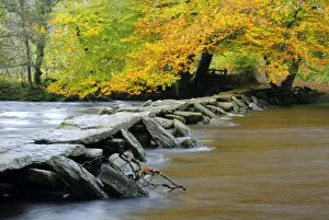 Tarr Steps Clapper Bridge and the River Barle, autumn, nr Withypool, Exmoor National Park