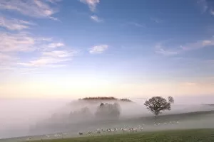 Images Dated 10th February 2010: Temperature inversion causing hanging mist, nr. Birchover, Peak District National Park, England