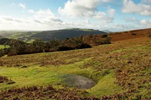Herefordshire Prints: Temporary spring on Garway Hill