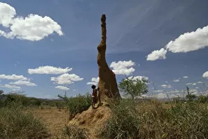 Termite (Isoptera) colony with six-metre high cooling chimney, Bogoria, Kenya