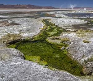 High Altitude Collection: Thermal spring drains into Laguna Salada, in the high altiplano, Bolivia
