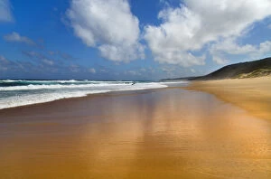 Thonga Beach on the coast of Indian Ocean, Maputuland, KwaZulu-Natal, South Africa, January