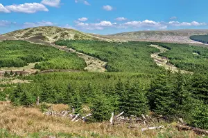Upland Prints: Timber industry in the central area of Galloway Forest Park