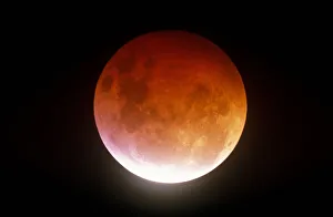 Images Dated 2007 October: 